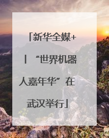 新华全媒+丨“世界机器人嘉年华”在武汉举行