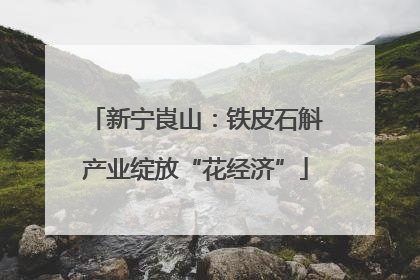 新宁崀山：铁皮石斛产业绽放“花经济”
