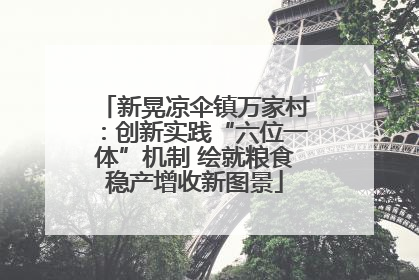 新晃凉伞镇万家村：创新实践“六位一体”机制 绘就粮食稳产增收新图景