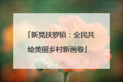 新晃扶罗镇：全民共绘美丽乡村新画卷