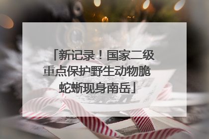 新记录！国家二级重点保护野生动物脆蛇蜥现身南岳