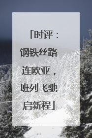 时评：钢铁丝路连欧亚，班列飞驰启新程