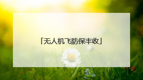 无人机飞防保丰收