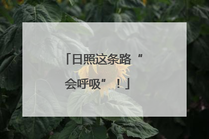 日照这条路“会呼吸”！