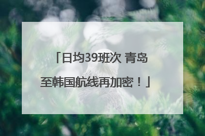 日均39班次 青岛至韩国航线再加密！