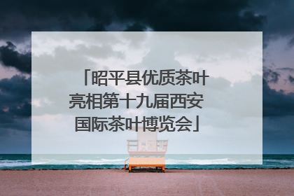昭平县优质茶叶亮相第十九届西安国际茶叶博览会