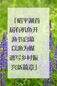 昭平湖首届有机鱼开渔节启幕 以渔为媒 谱写乡村振兴新篇章
