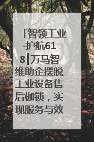智领工业·护航618┃万马智维助企摆脱工业设备售后枷锁，实现服务与效能价值共振！