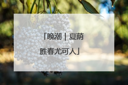 晚潮｜夏荫胜春尤可人