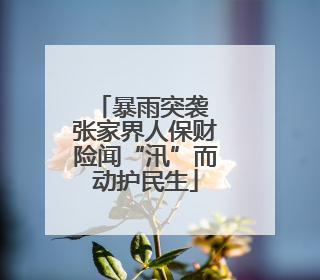 暴雨突袭 张家界人保财险闻“汛”而动护民生