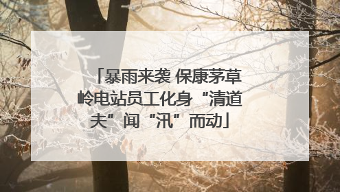 暴雨来袭 保康茅草岭电站员工化身“清道夫”闻“汛”而动