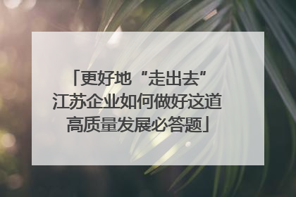 更好地“走出去” 江苏企业如何做好这道高质量发展必答题