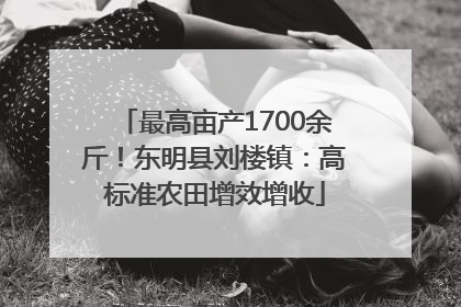 最高亩产1700余斤！东明县刘楼镇：高标准农田增效增收