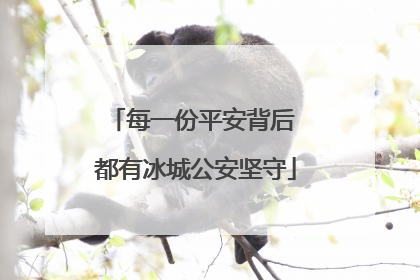 每一份平安背后 都有冰城公安坚守