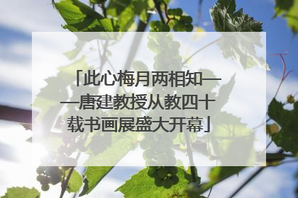 此心梅月两相知——唐建教授从教四十载书画展盛大开幕
