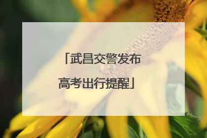 武昌交警发布高考出行提醒
