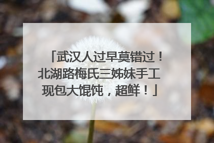 武汉人过早莫错过！北湖路梅氏三姊妹手工现包大馄饨，超鲜！