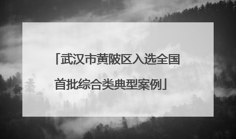 武汉市黄陂区入选全国首批综合类典型案例