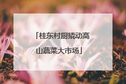 桂东村厨撬动高山蔬菜大市场