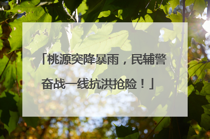 桃源突降暴雨，民辅警奋战一线抗洪抢险！