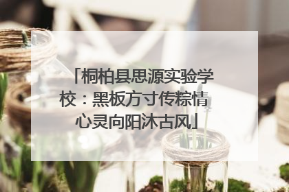 桐柏县思源实验学校：黑板方寸传粽情 心灵向阳沐古风