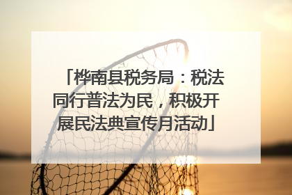 桦南县税务局：税法同行普法为民，积极开展民法典宣传月活动
