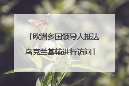 欧洲多国领导人抵达乌克兰基辅进行访问