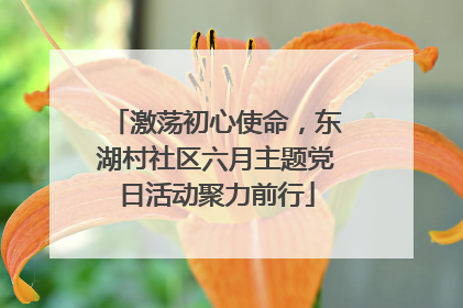 激荡初心使命，东湖村社区六月主题党日活动聚力前行