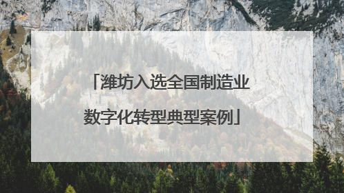 潍坊入选全国制造业数字化转型典型案例