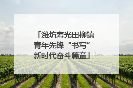 潍坊寿光田柳镇青年先锋“书写”新时代奋斗篇章