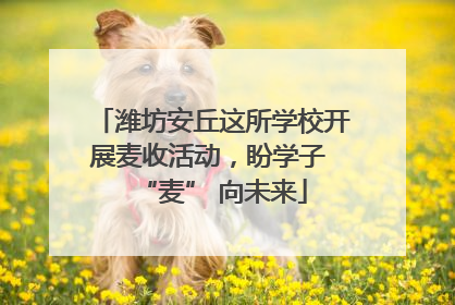 潍坊安丘这所学校开展麦收活动，盼学子 “麦” 向未来