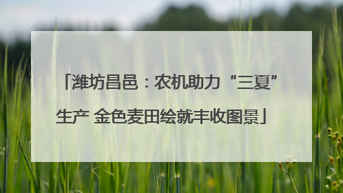 潍坊昌邑：农机助力“三夏”生产 金色麦田绘就丰收图景