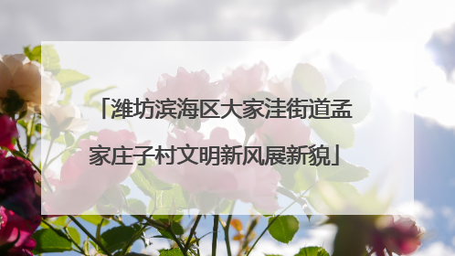 潍坊滨海区大家洼街道孟家庄子村文明新风展新貌