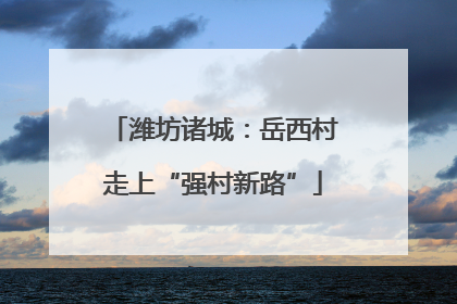 潍坊诸城：岳西村走上“强村新路”