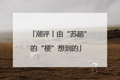 潮评丨由“苏超”的“梗”想到的