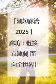 潮起廊洽2025丨廊坊：链接京津冀 面向全世界