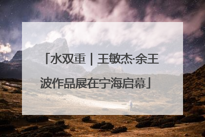 水双重｜王敏杰·余王波作品展在宁海启幕
