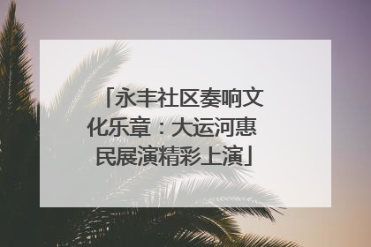 永丰社区奏响文化乐章：大运河惠民展演精彩上演