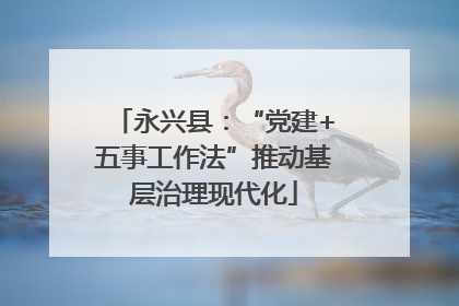 永兴县：“党建+五事工作法”推动基层治理现代化