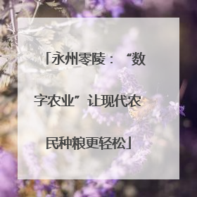 永州零陵：“数字农业”让现代农民种粮更轻松