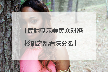 民调显示美民众对洛杉矶之乱看法分裂