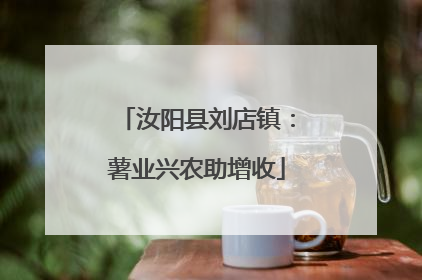 汝阳县刘店镇：薯业兴农助增收