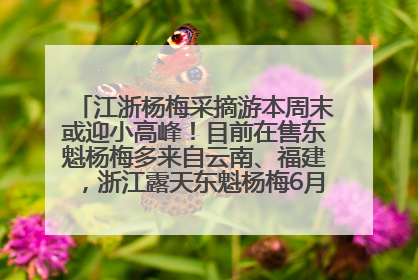 江浙杨梅采摘游本周末或迎小高峰！目前在售东魁杨梅多来自云南、福建，浙江露天东魁杨梅6月中旬大量上市