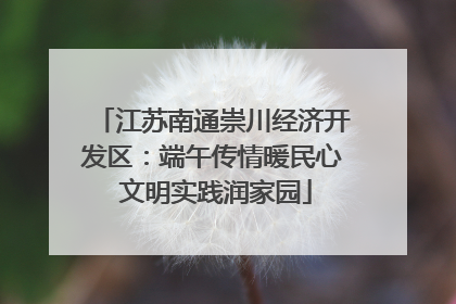 江苏南通崇川经济开发区：端午传情暖民心 文明实践润家园