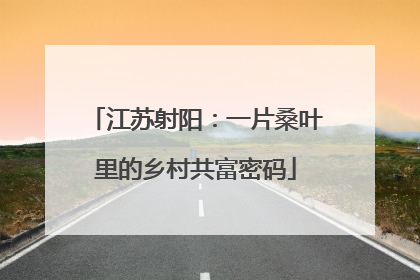 江苏射阳：一片桑叶里的乡村共富密码
