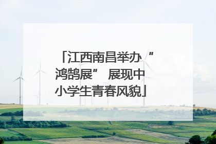 江西南昌举办“鸿鹄展” 展现中小学生青春风貌