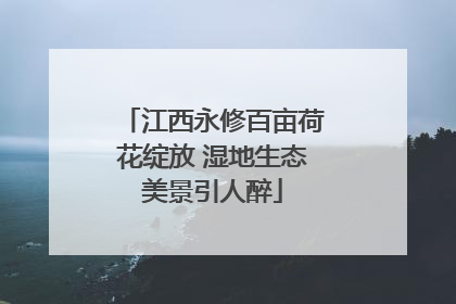 江西永修百亩荷花绽放 湿地生态美景引人醉