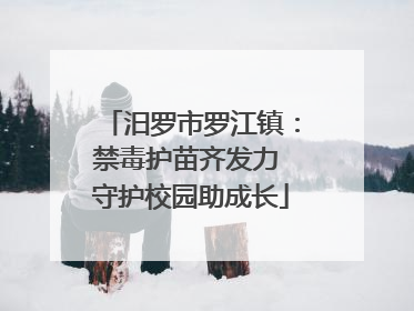 汨罗市罗江镇：禁毒护苗齐发力 守护校园助成长