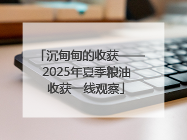 沉甸甸的收获——2025年夏季粮油收获一线观察