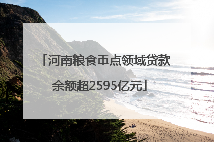 河南粮食重点领域贷款余额超2595亿元